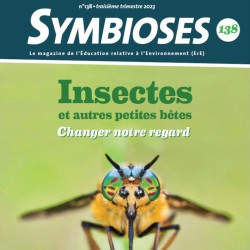 Insectes et autres petites bêtes, changer notre regard