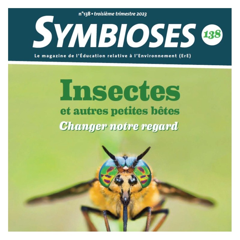 Insectes et autres petites bêtes, changer notre regard